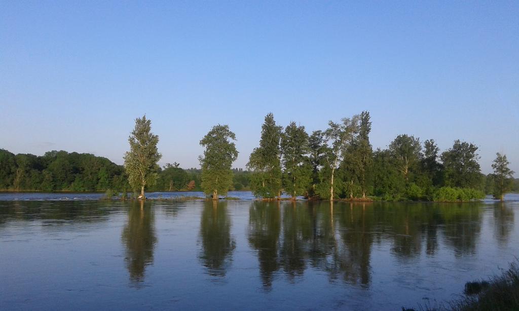 Bed and Breakfast La Chaumiere Ousson-sur-Loire Exterior foto