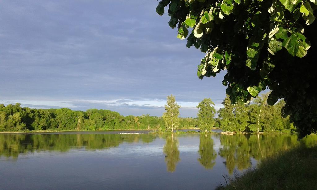 Bed and Breakfast La Chaumiere Ousson-sur-Loire Exterior foto